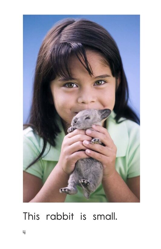 Rabbits绘本故事第4页