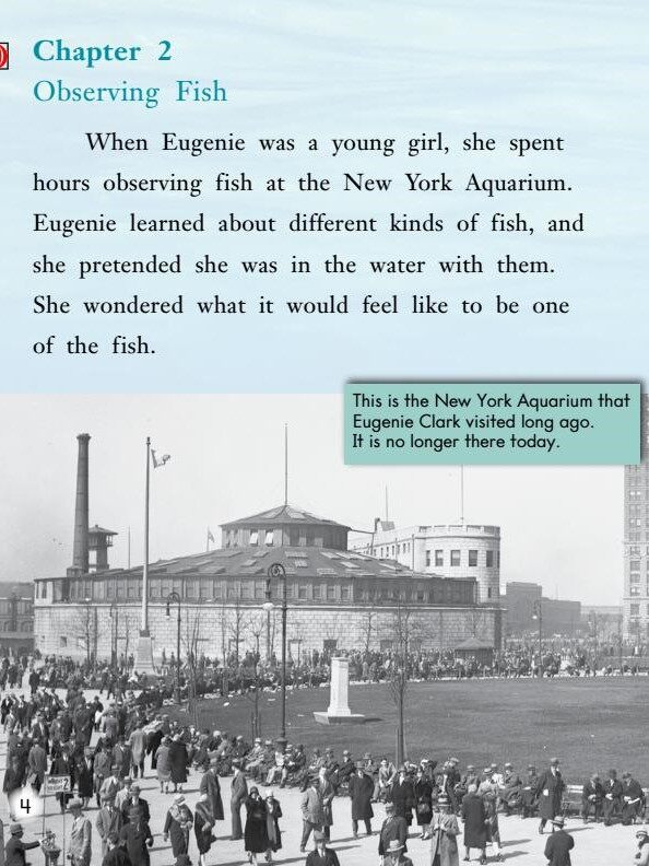 Eugenie Clark,Shark Lady绘本故事第5页