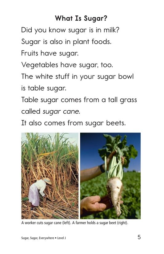 Sugar,Sugar,Everywhere绘本故事第4页