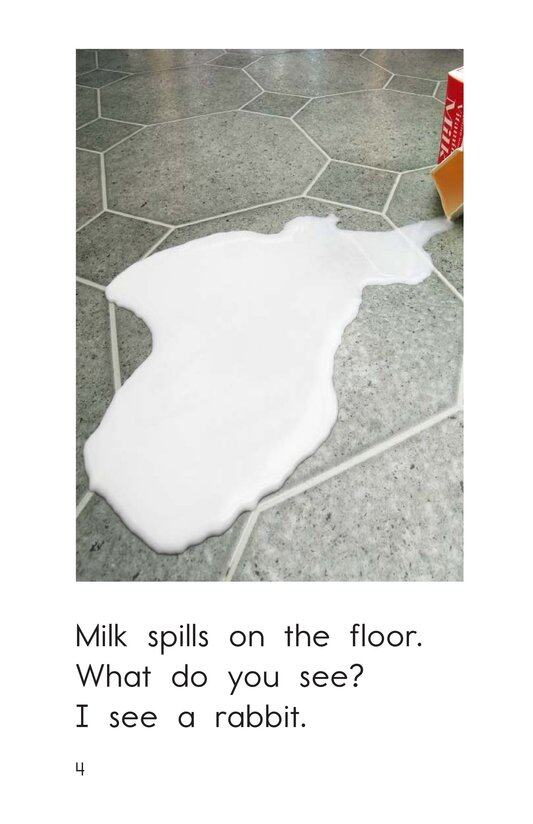 What Do You See绘本故事第4页