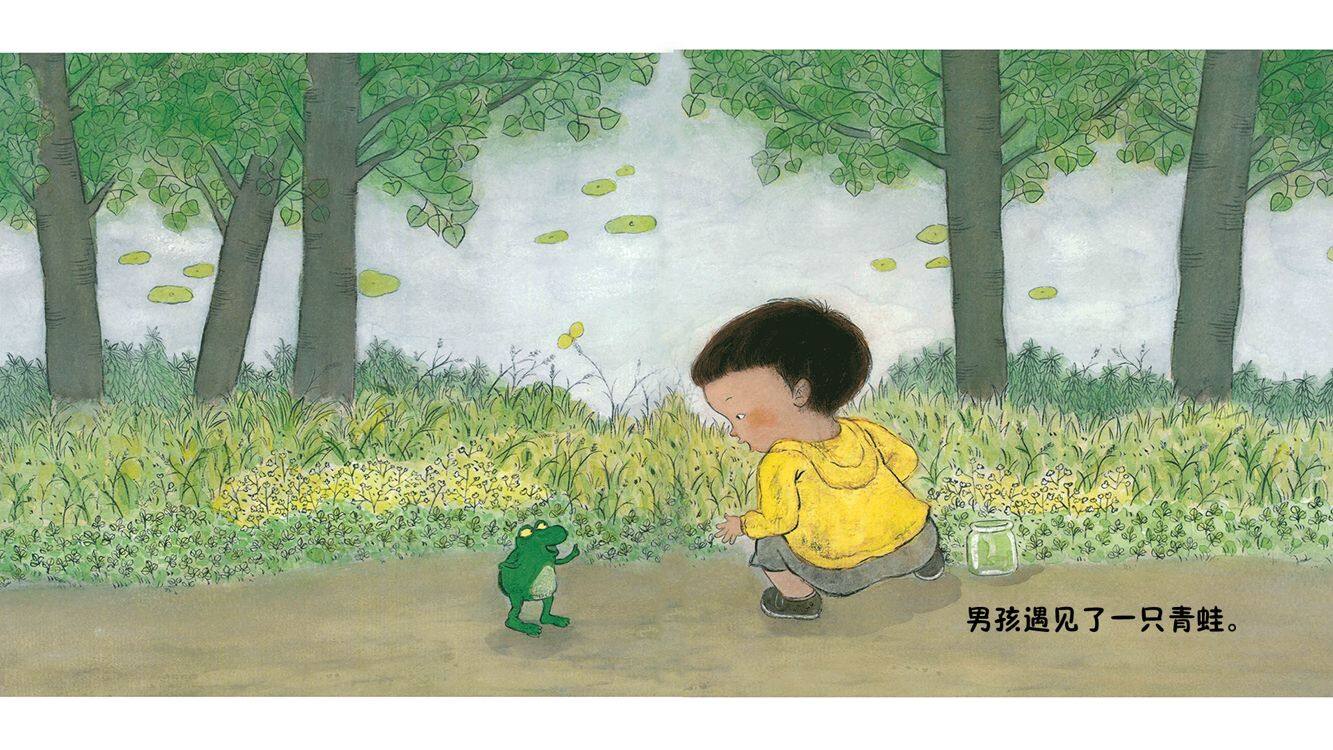 青蛙与男孩.绘本故事第2页