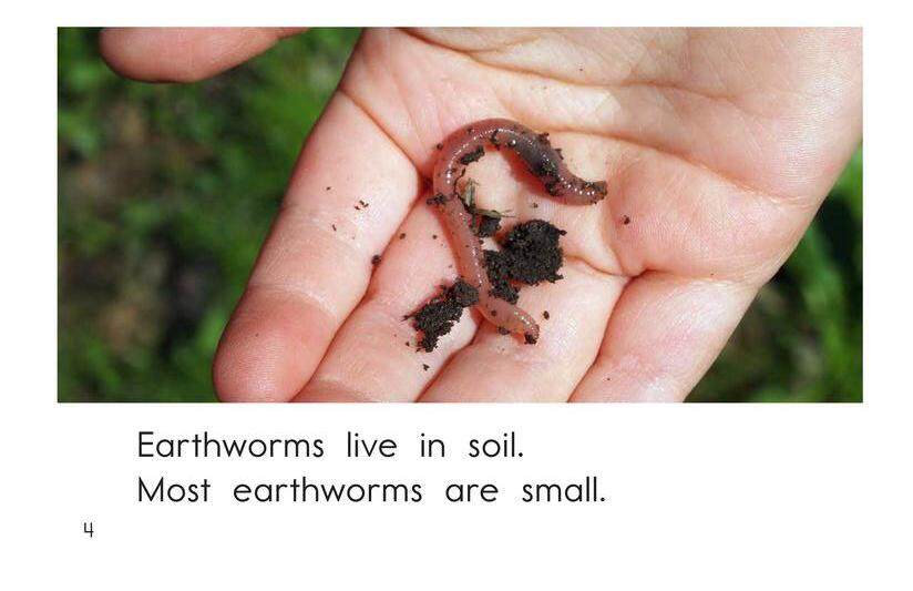All About Earthworms绘本故事第4页