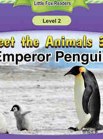 Emperor Penguin