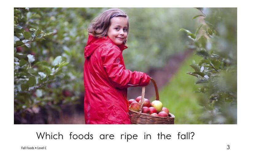 Fall Foods绘本故事第3页