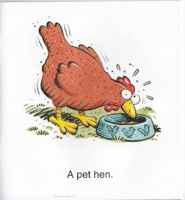 Wet Legs绘本故事第4页