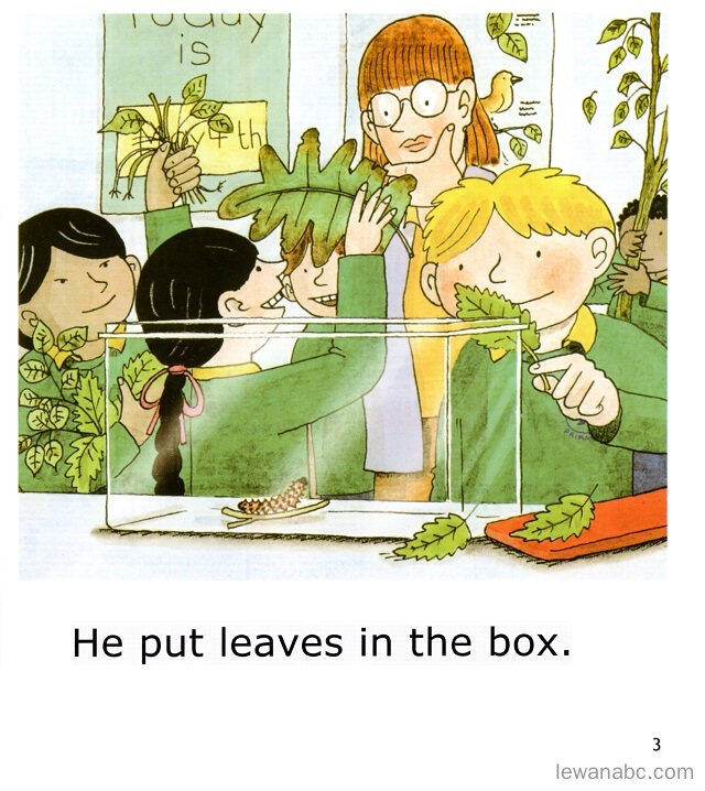 The Caterpillar绘本故事第5页