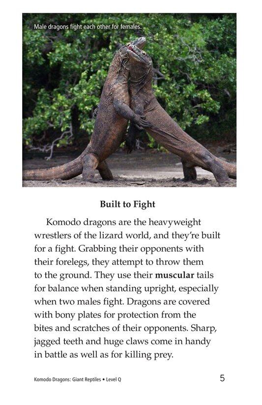 Komodo Dragons Giant Reptiles绘本故事第4页
