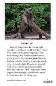 Komodo Dragons Giant Reptiles绘本故事第4页