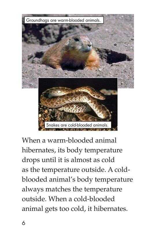 Hibernation绘本故事第5页