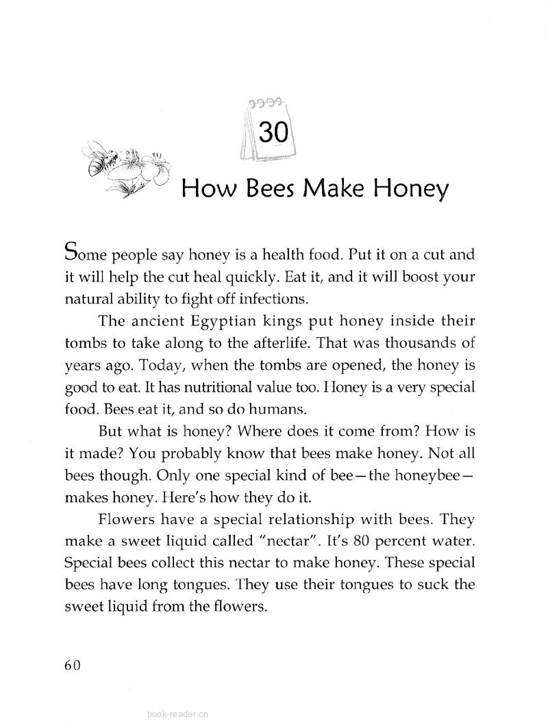 How Bees Make Honey绘本故事第2页