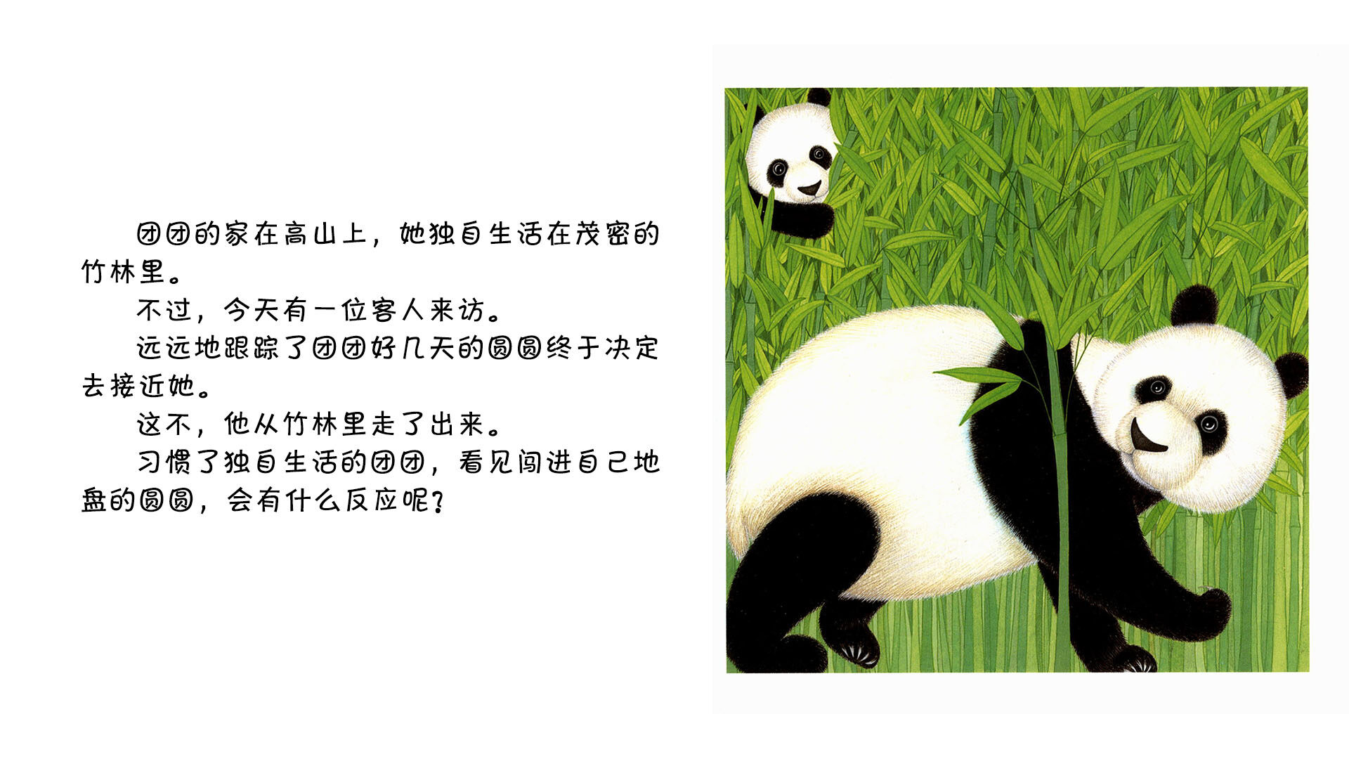 熊猫绘本故事第3页