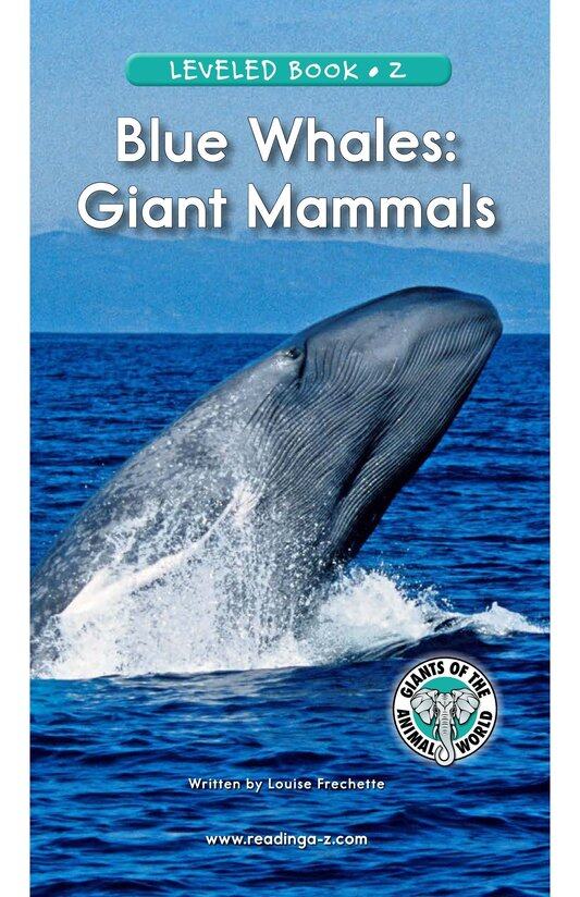 Blue Whales Giant Mammals绘本故事第2页