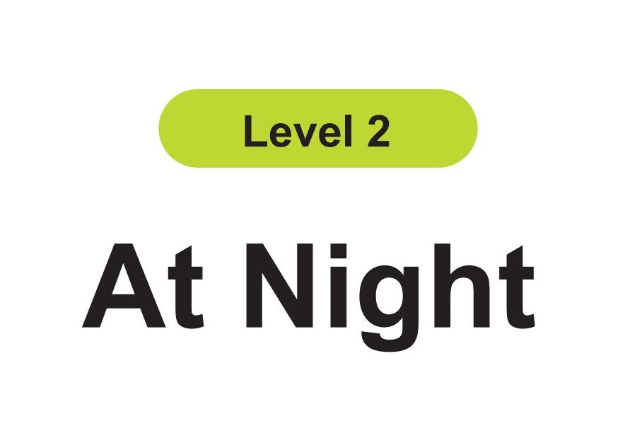 At Night绘本故事第2页