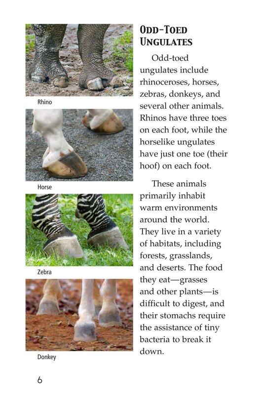 Hoofed Animals绘本故事第5页