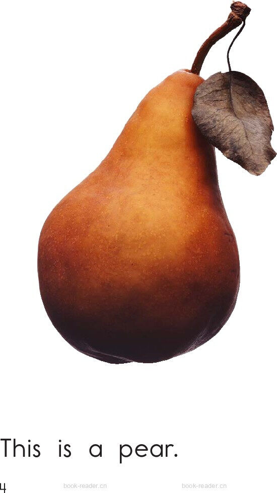 Fruit绘本故事第4页