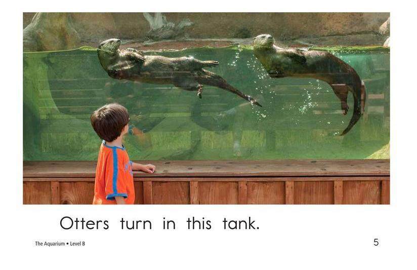The Aquarium绘本故事第5页