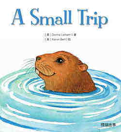 A Small Trip