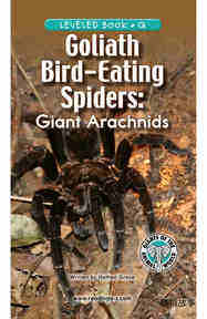 Goliath Bird Eating Spiders Giant Arachnids