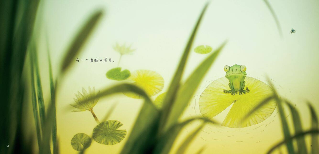 梦里尝到的苍蝇绘本故事第3页