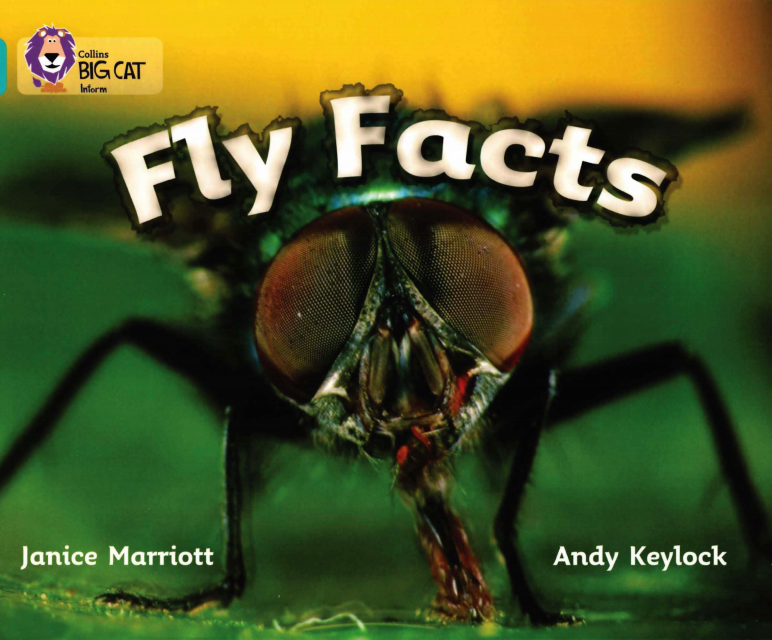 Fly Facts绘本故事第2页