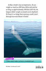 Blue Whales Giant Mammals绘本故事第4页