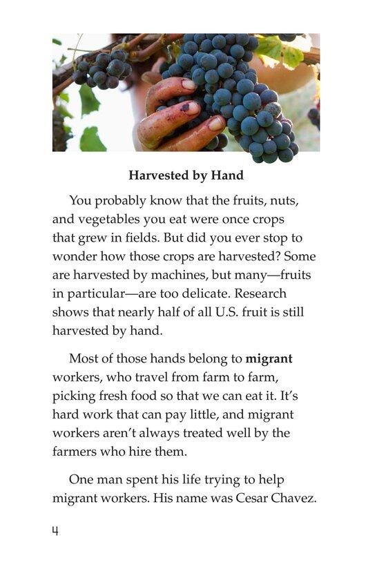 Cesar Chavez Migrant Hero绘本故事第3页