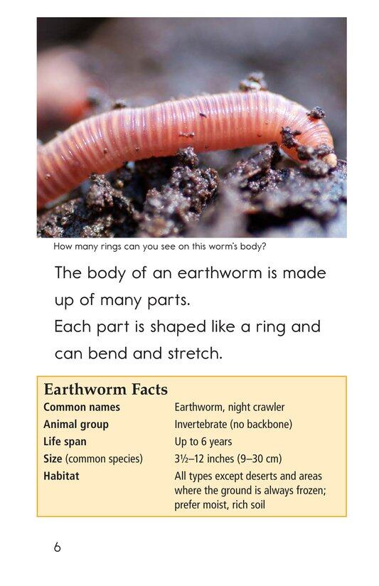 Wiggly Worms绘本故事第5页