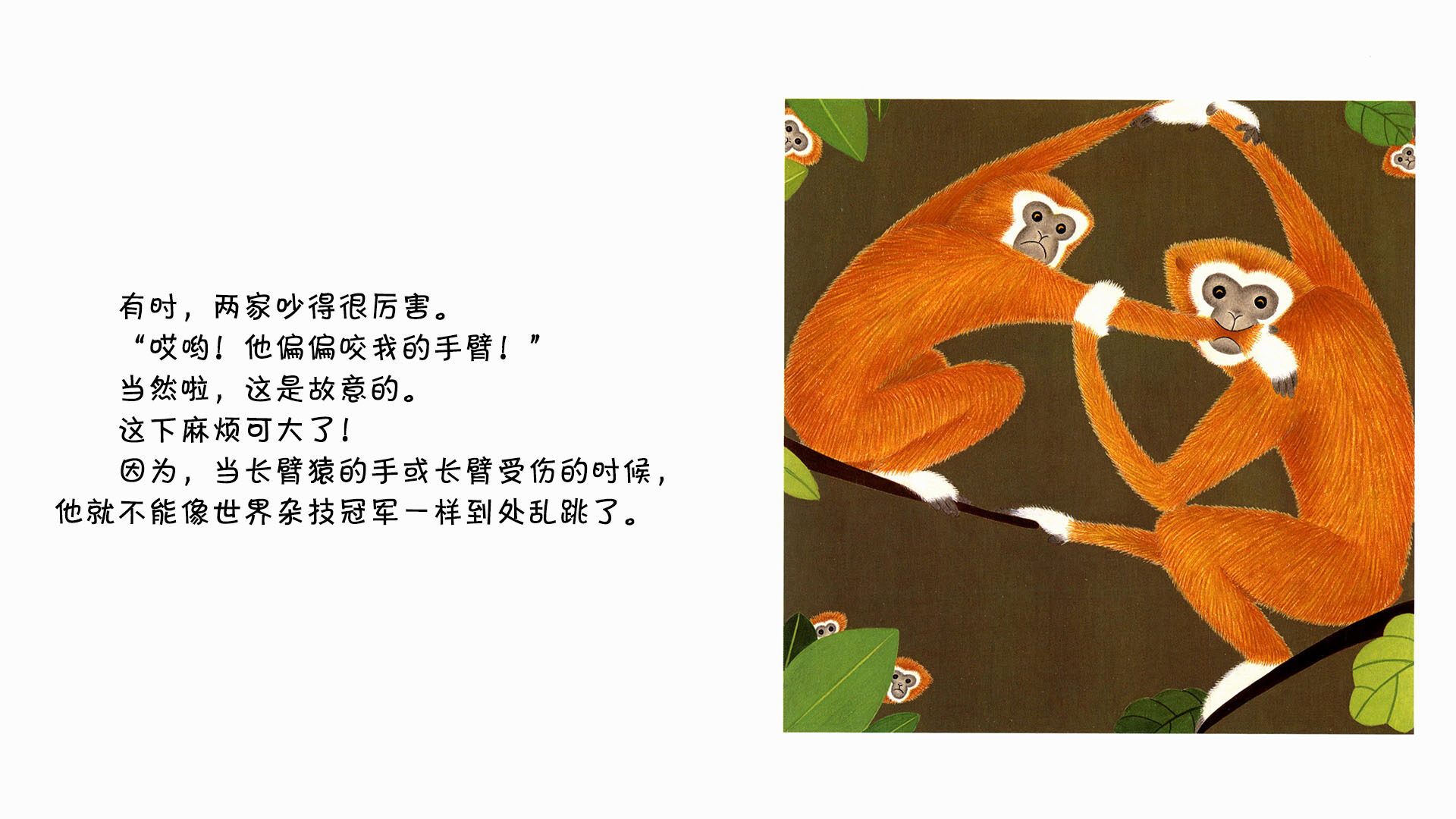 长臂猿绘本故事第4页