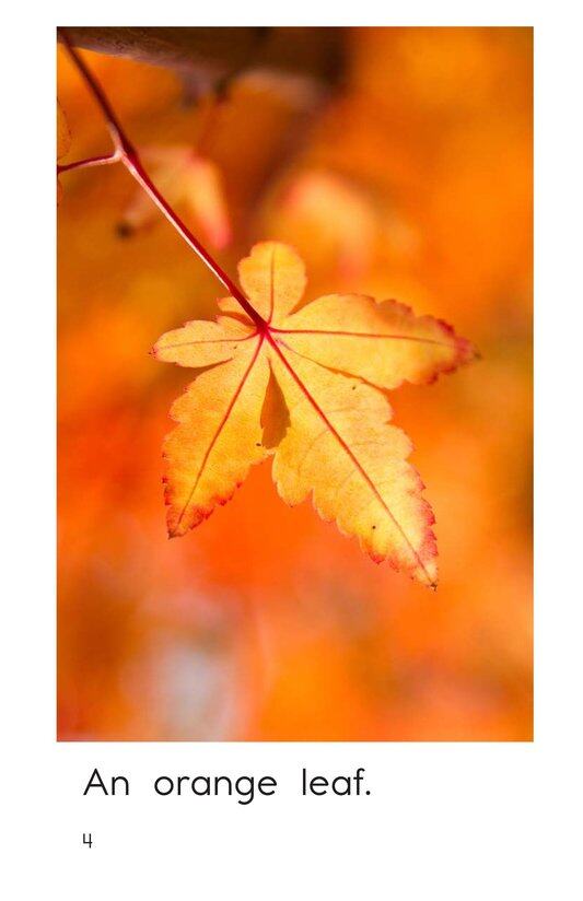 Orange绘本故事第4页