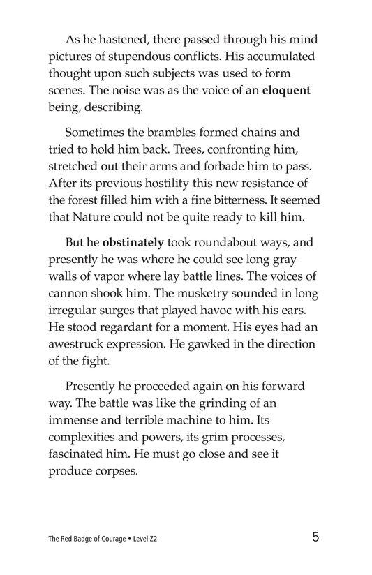 The Red Badge of Courage (Part 6)绘本故事第5页