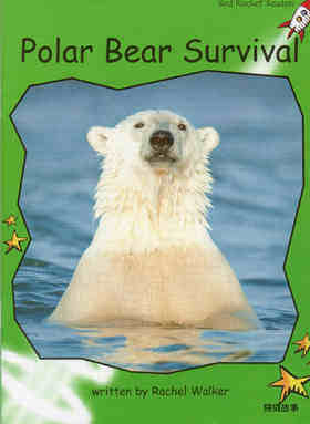 polar bear survival