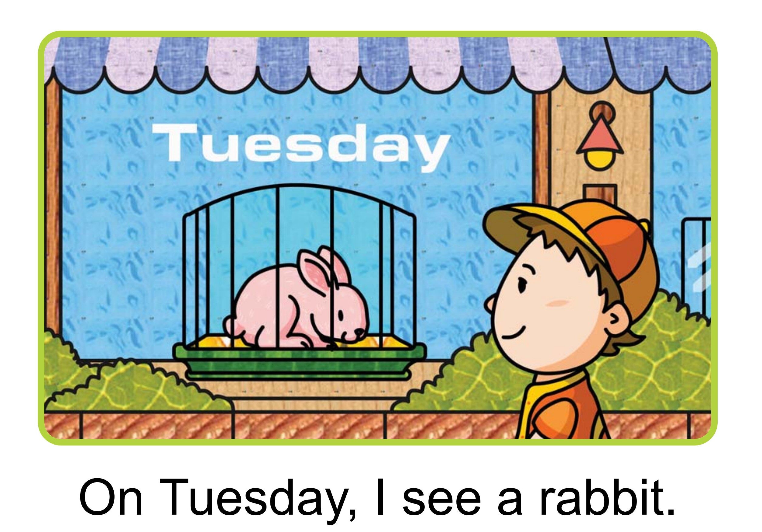 My Pet绘本故事第3页