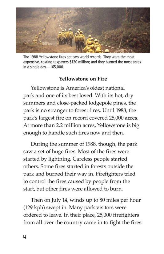 Forests on Fire绘本故事第3页