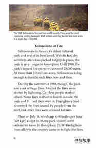 Forests on Fire绘本故事第3页