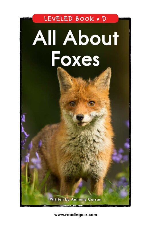 All About Foxes绘本故事第2页