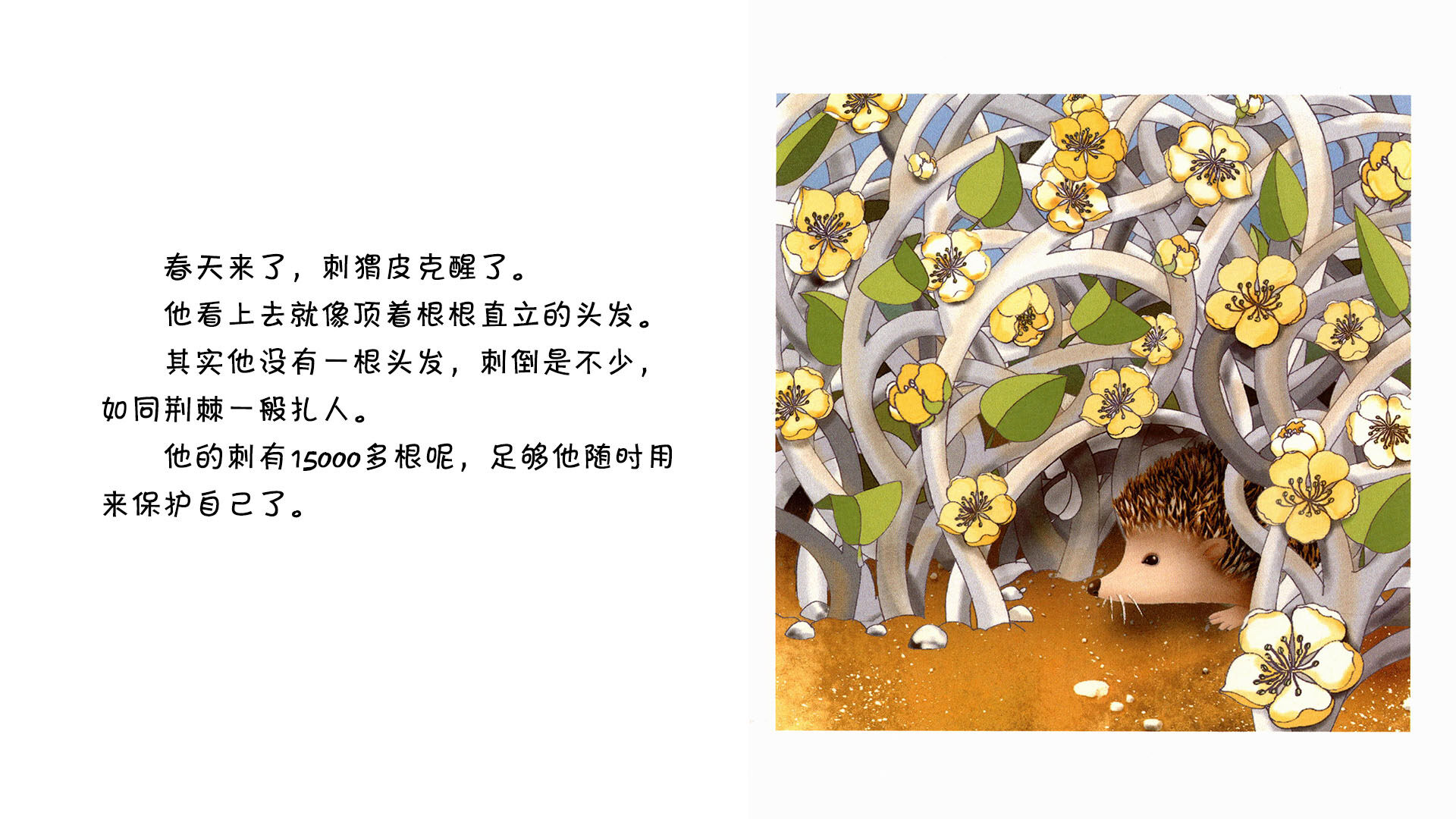 刺猬绘本故事第3页