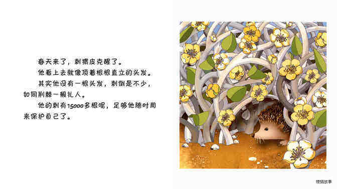 刺猬绘本故事第3页