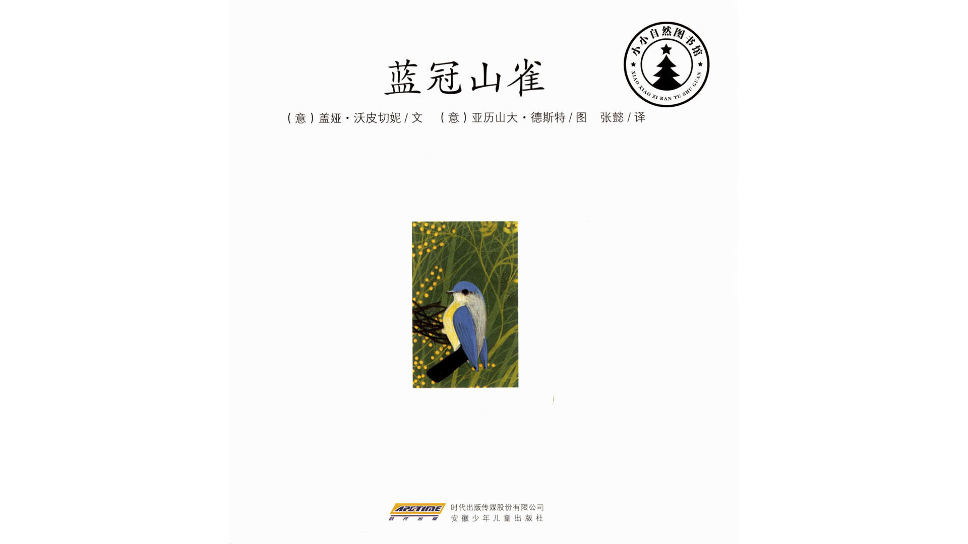 蓝冠山雀绘本故事第2页