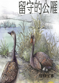 留守的公雁