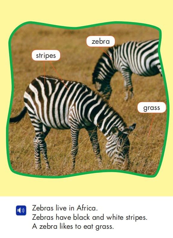 Animals of Africa绘本故事第4页