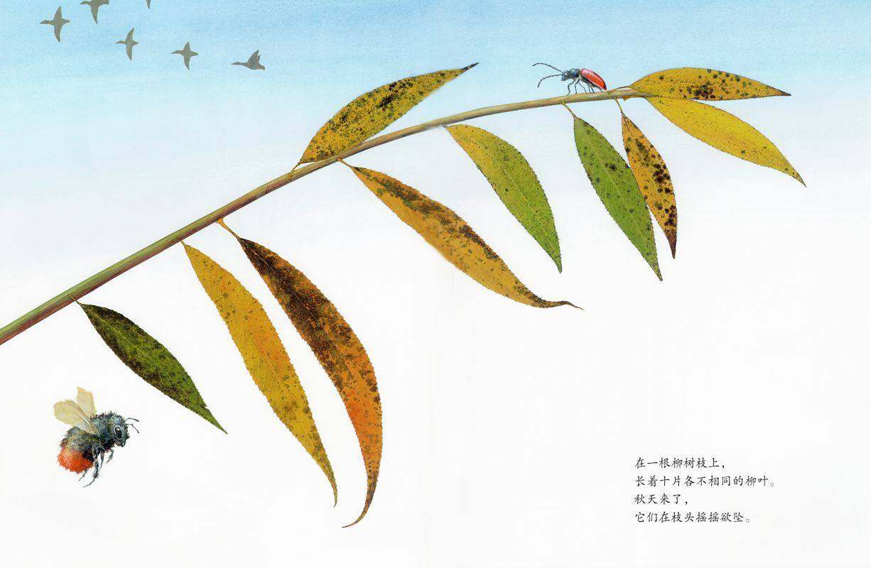 绘本花园：风中的树叶绘本故事第2页
