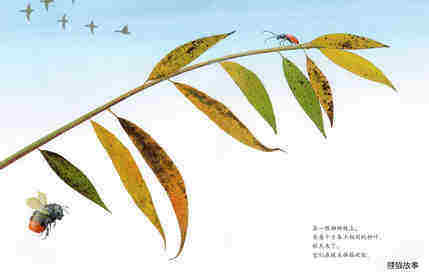 绘本花园：风中的树叶绘本故事第2页
