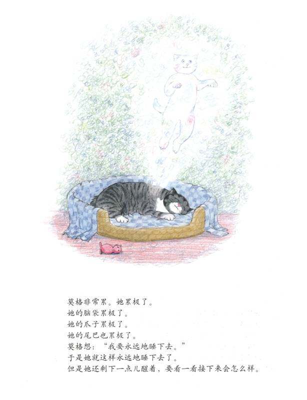 再见，莫格32绘本故事第2页