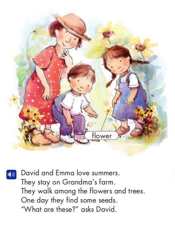 The Sunflower Questions绘本故事第3页