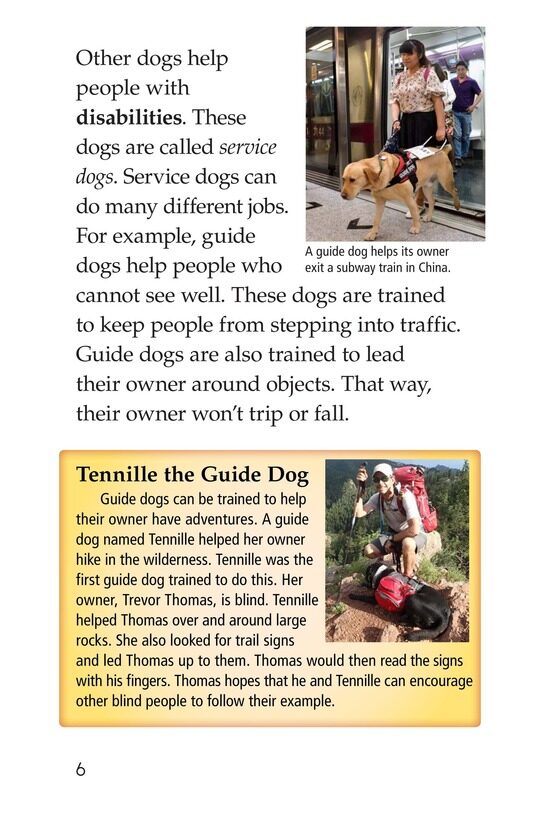 Dogs at Work绘本故事第5页