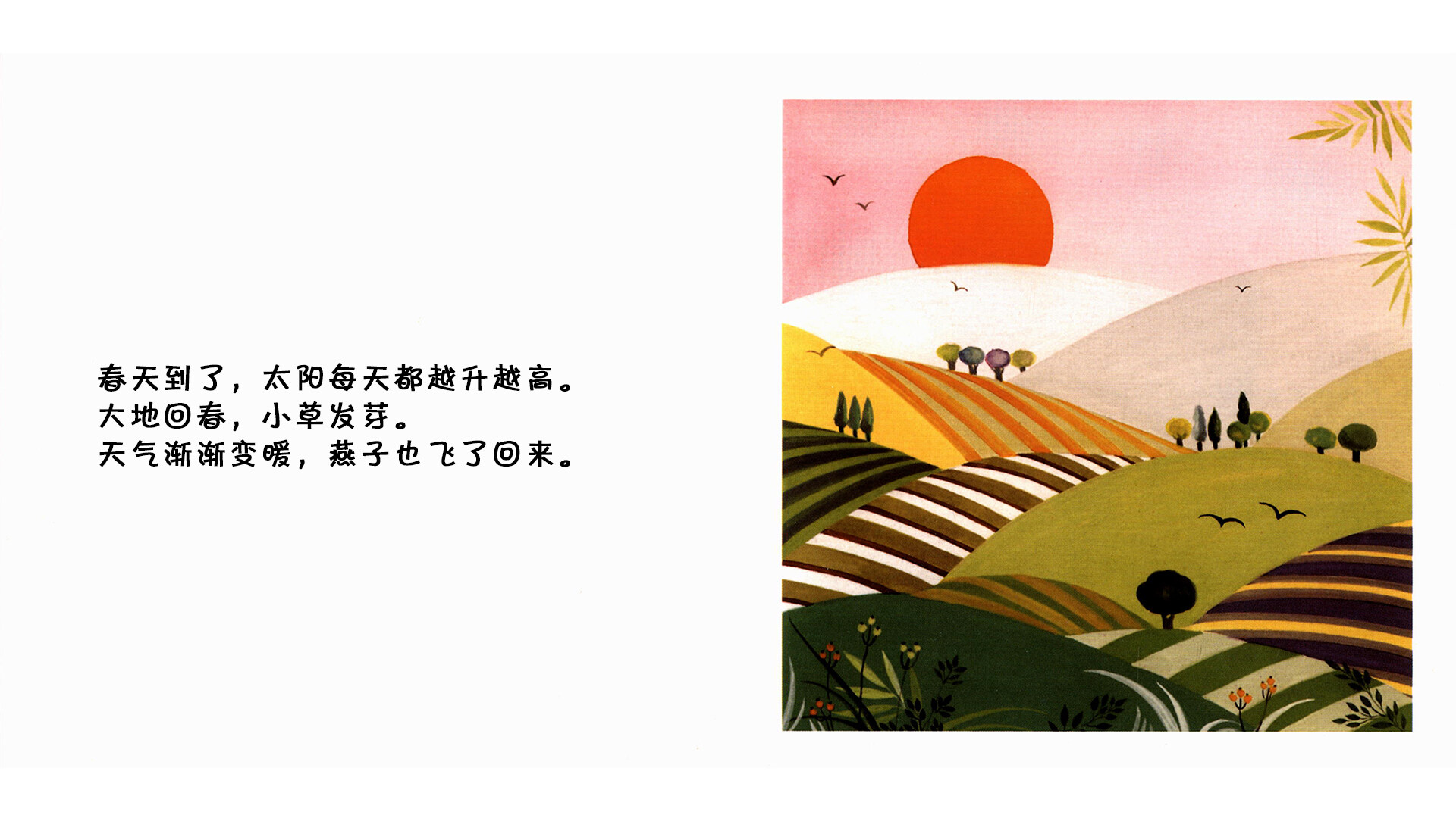 树绘本故事第3页