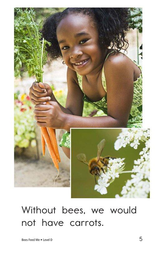 Bees Feed Me绘本故事第5页
