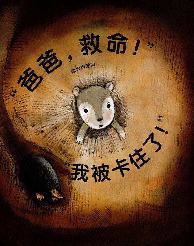 我爱家人（第二辑）：爸爸和我一起玩绘本故事第4页