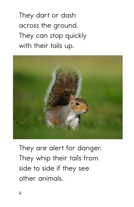 Squirrel Acrobats绘本故事第4页