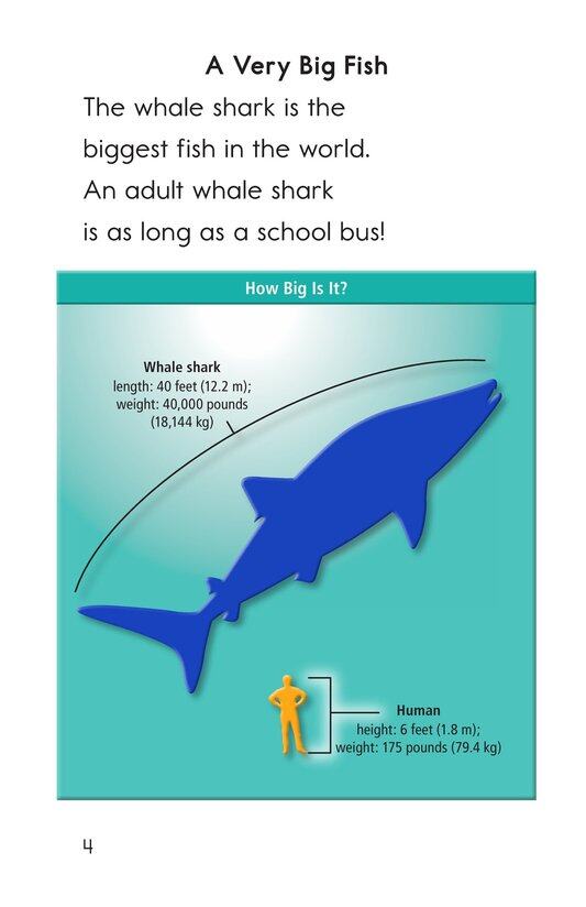 Whale Sharks Giant Fish绘本故事第3页
